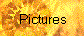 Pictures